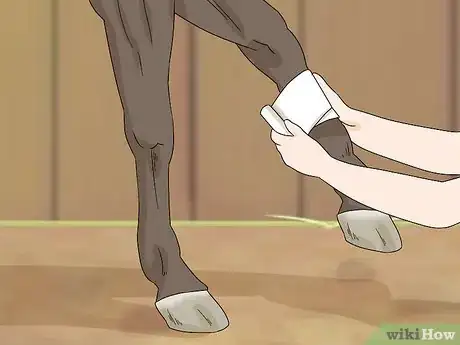 Image titled Treat Edema in Horses Step 2