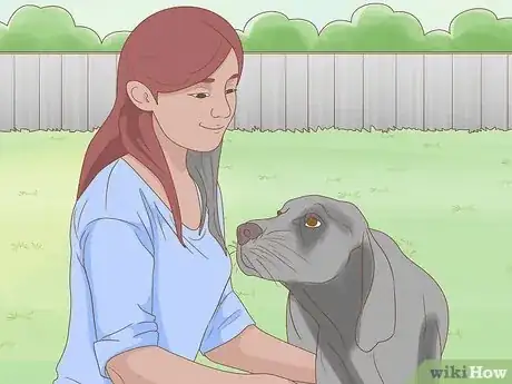 Image titled Stop a Dog from Eating Poop with Pineapple Step 11