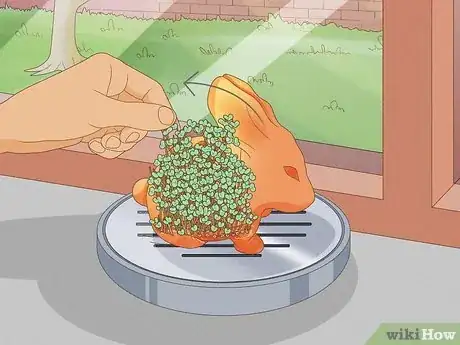 Image titled Grow a Chia Pet Step 13