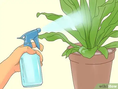 Image titled Make Organic Pesticide Step 13