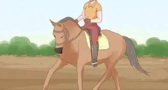 Begin Horseback Riding