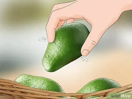 Image titled Choose Avocados Step 4