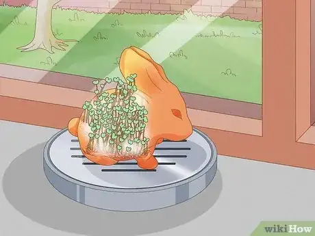 Image titled Grow a Chia Pet Step 12