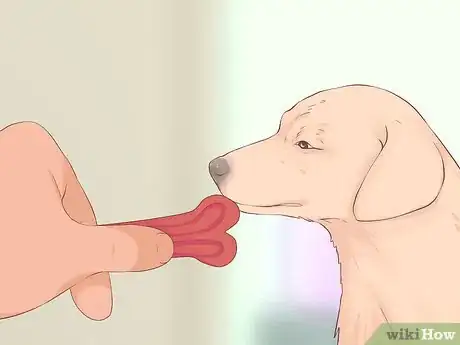 Image titled Handle a Biting Dog Step 2