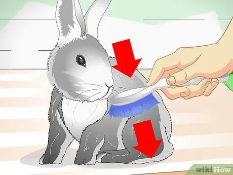 Image titled Keep Pet Rabbits Cool Step 6