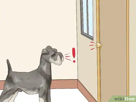 Image titled Identify a Miniature Schnauzer Step 9