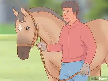 Image titled Meet a Horse for the First Time Step 9