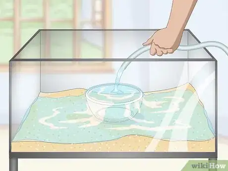 Image titled Set up a Tropical Freshwater Aquarium Step 6