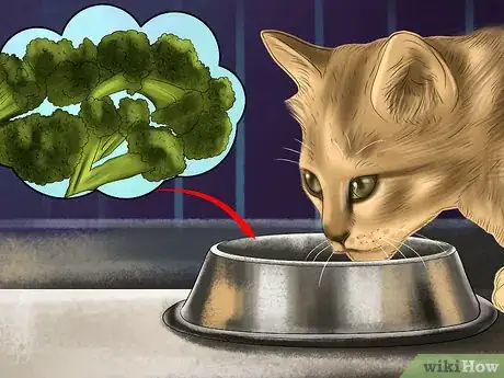 Image titled Feed Your Cat Natural Foods Step 12