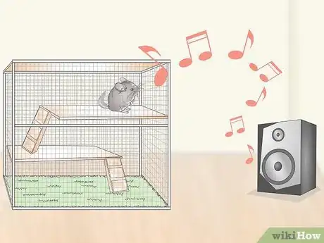 Image titled Keep a Chinchilla Calm Step 8