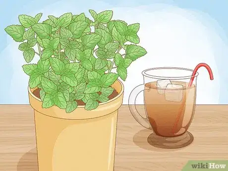 Image titled Grow Mint in a Pot Step 4