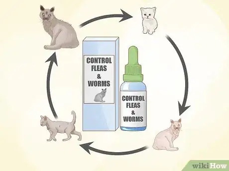 Image titled Get Rid of Worms in Cats Step 7