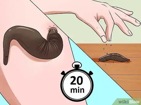 Image titled Kill Leeches Step 2