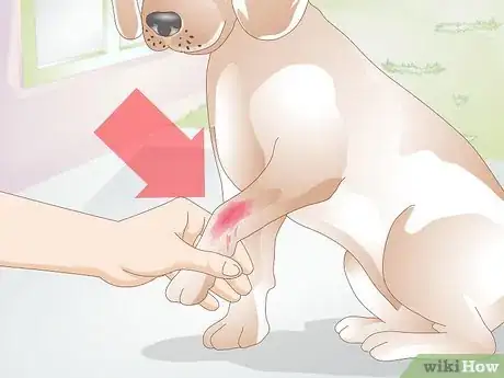 Image titled Treat Lacerations on Dogs Step 3