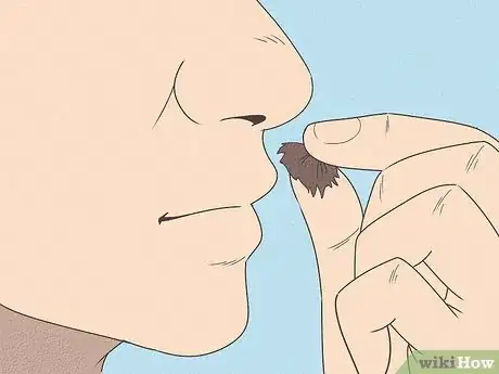 Image titled Use Nasal Snuff Step 2