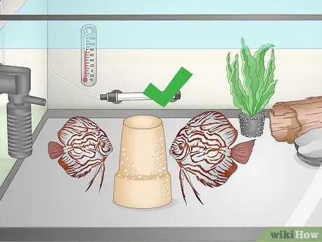 Image titled Keep Discus Step 18