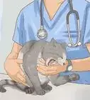 Save a Choking Cat