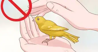 Keep a Single Canary