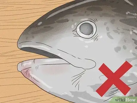 Image titled Know if Salmon Is Bad Step 4