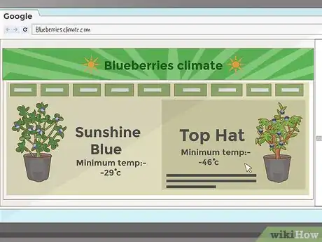 Image titled Grow Blueberries in a Pot Step 2