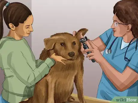 Image titled Diagnose Canine Ear Infections Step 9