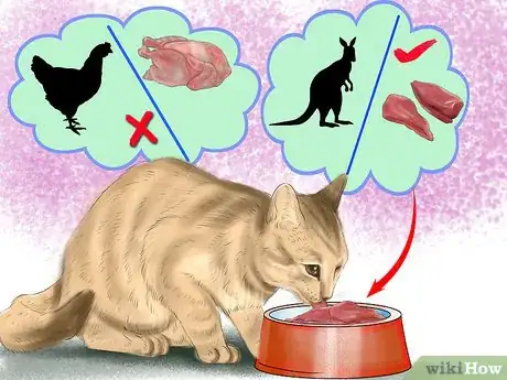 Image titled Choose a Diet for IBD Cats Step 5