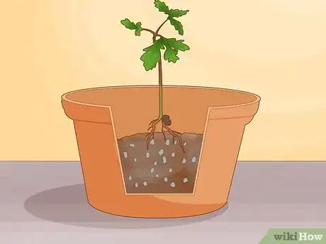 Image titled Grow Truffles Indoors Step 14