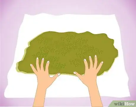 Image titled Remove moisture from moss by putting it in a paper towel Step 4