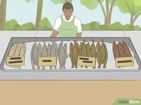 Image titled Buy Fresh Fish Step 13.jpeg