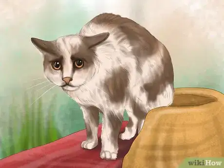 Image titled Diagnose Feline Cataracts Step 5