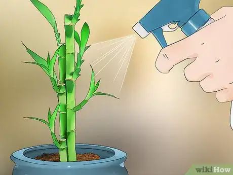 Image titled Care for an Indoor Bamboo Plant Step 6