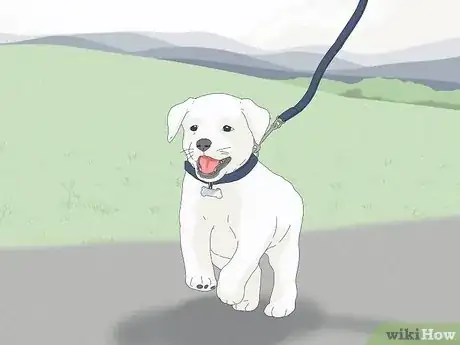 Image titled Get Your Puppy to Stop Biting Step 7