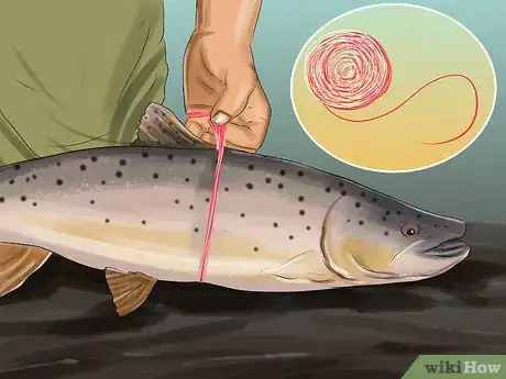 Image titled Measure Fish Step 8