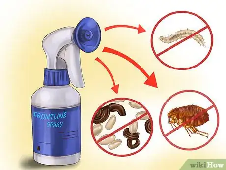 Image titled Kill Fleas and Ticks on Cats Step 11