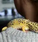 Have Fun With Your Leopard Gecko