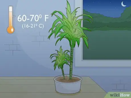 Image titled Care for a Dracaena Step 2