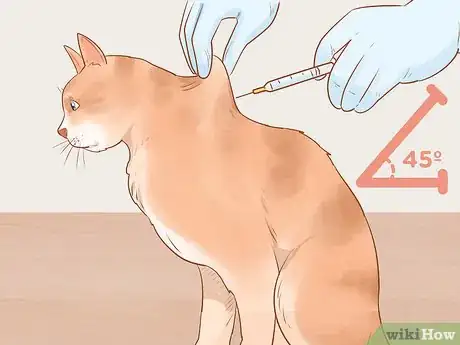 Image titled Administer Insulin to a Cat Step 13