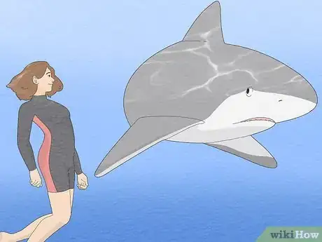 Image titled Get over Your Fear of Sharks Step 2