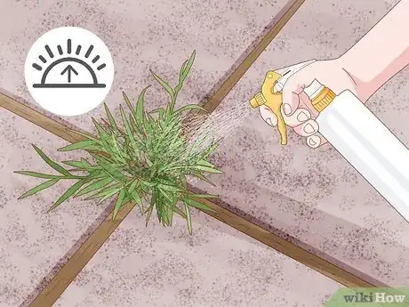 Image titled Kill Weeds With Vinegar Step 2