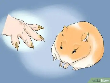 Image titled Deal With Diabetes in Hamsters Step 11