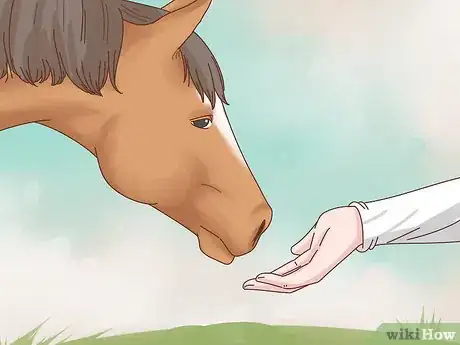 Image titled Take Care of Your Horse Step 16