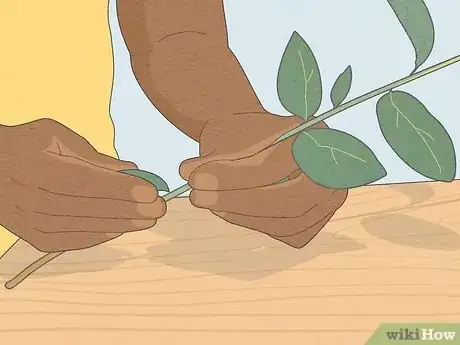 Image titled Hang Eucalyptus in Shower Step 1