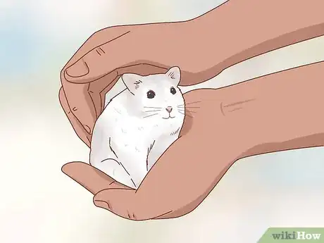 Image titled Care for Winter White Dwarf Hamsters Step 13