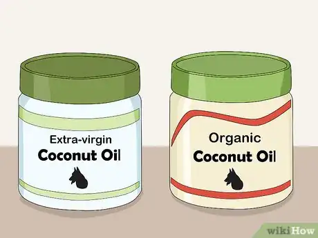 Image titled Use Coconut Oil for Flea and Skin Treatment on Dogs Step 5