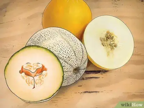 Image titled Grow Cantaloupe Step 1