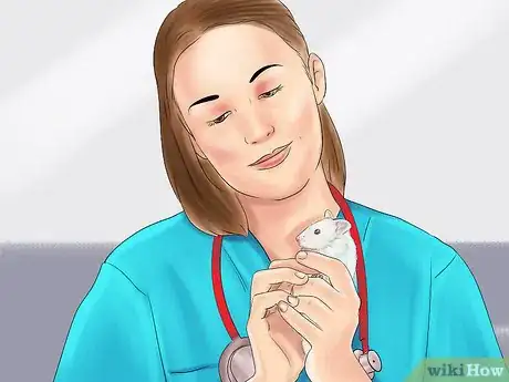 Image titled Get an Overweight Hamster to Lose Weight Step 9