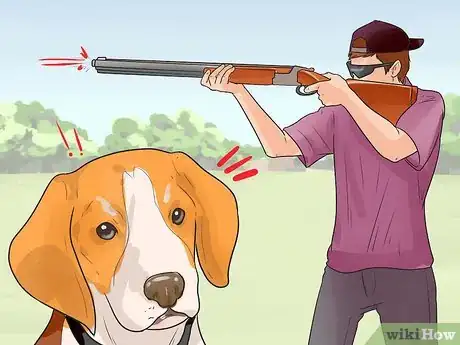 Image titled Train a Dog for Rabbit Hunting Step 13