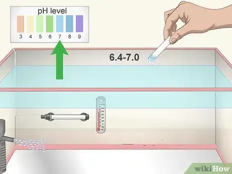 Image titled Care for a Crowntail Betta Fish Step 5