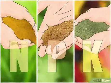 Image titled Know What Fertilizer to Use On Your Garden Plants and When to Use It Step 4