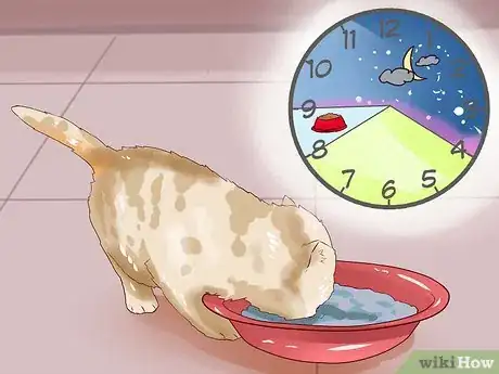 Image titled Put a Hyper Kitten to Sleep Step 12